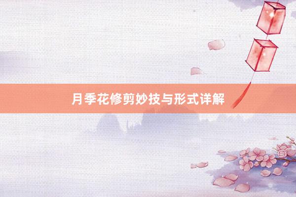 月季花修剪妙技与形式详解