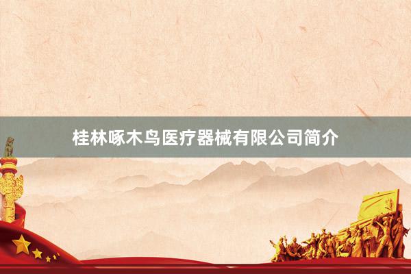 桂林啄木鸟医疗器械有限公司简介