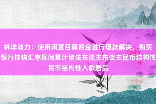 林洋动力：使用闲置召募资金进行现款解决，购买中国工商银行挂钩汇率区间累计型法东谈主东谈主民币结构性入款居品