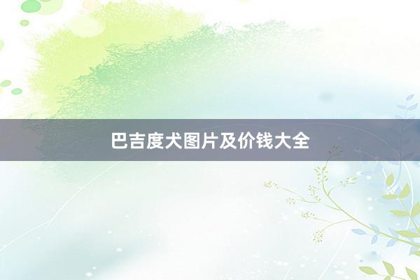 巴吉度犬图片及价钱大全