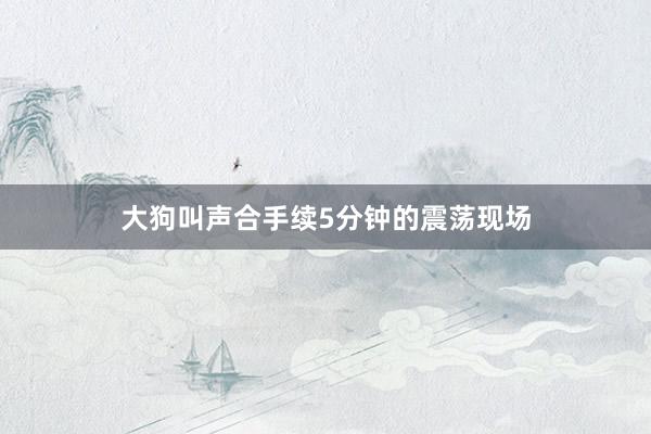 大狗叫声合手续5分钟的震荡现场