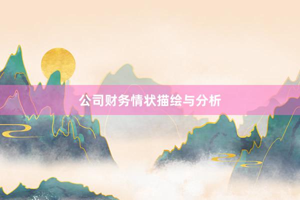 公司财务情状描绘与分析